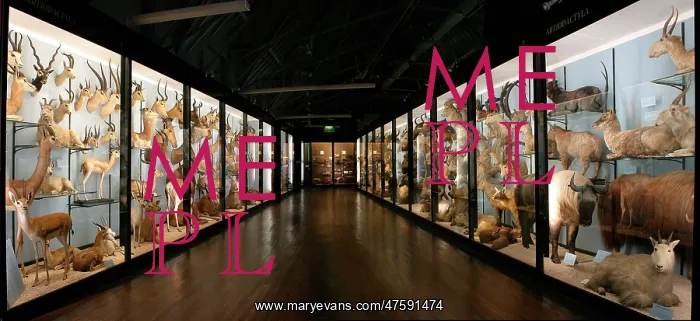 : The Natural History Museum at Tring : The Natural History Museum at Tring