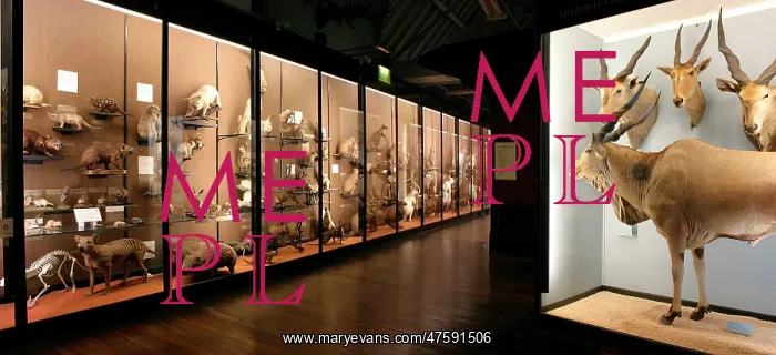 : The Natural History Museum at Tring : The Natural History Museum at Tring
