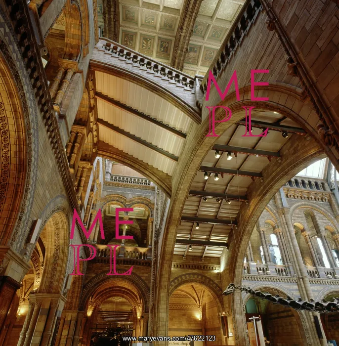 : The Natural History Museum's Central Hall : The Natural History Museum's Central Hall