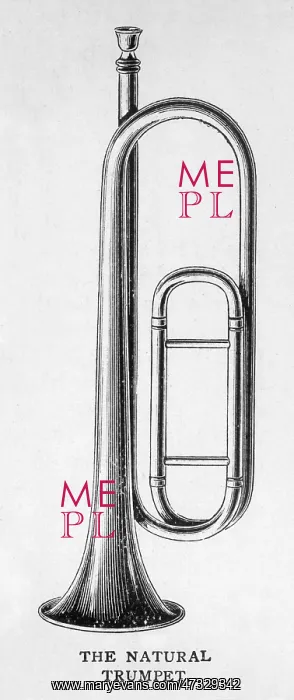 : Natural Trumpet on Own : Natural Trumpet on Own