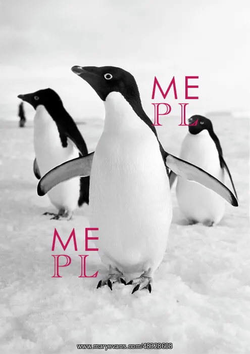 : Nature of Antarctica : Nature of Antarctica