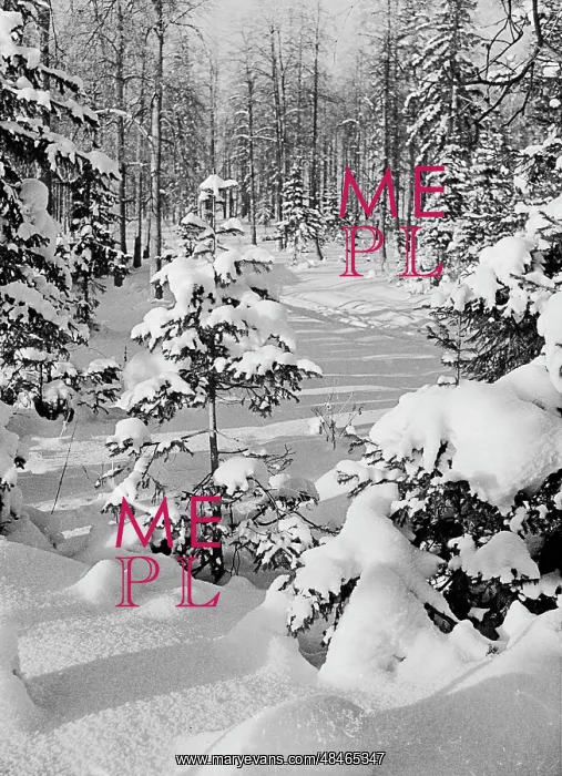 : Nature of Perm oblast : Nature of Perm oblast