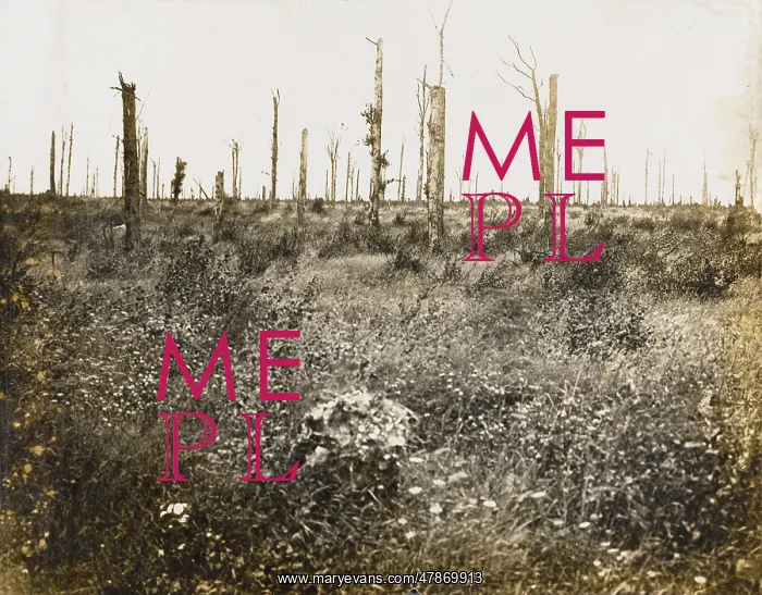 : Nature recovers 1917 : Nature recovers 1917
