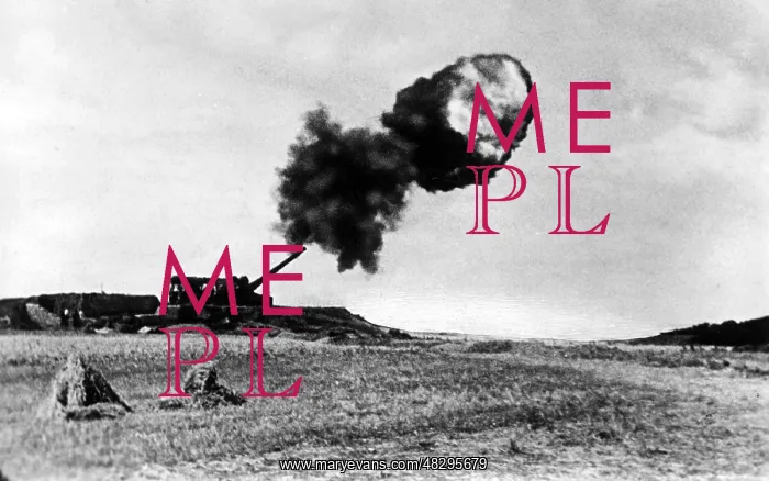 : Naval artillery on the Channel coast, 1940 : Naval artillery on the Channel coast, 1940