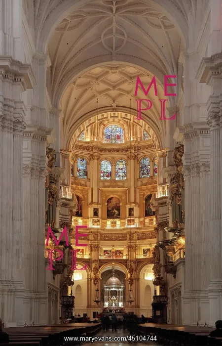 : Nave and Capilla Mayor, Cathedral of the Incarnation : Nave and Capilla Mayor, Cathedral of the Incarnation