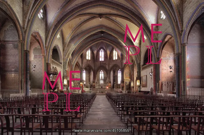 : Nave, Cathedral of Saint Maurice de Mirepoix : Nave, Cathedral of Saint Maurice de Mirepoix
