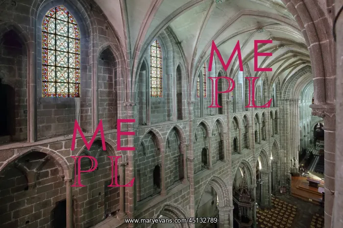 : Nave, Cathedral Saint-Samson, Dol-de-Bretagne : Nave, Cathedral Saint-Samson, Dol-de-Bretagne