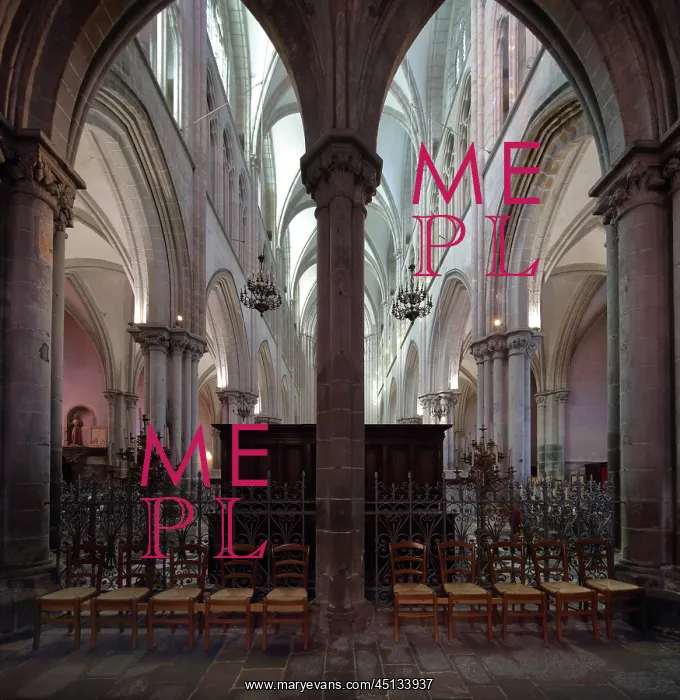 : Nave, Cathedral Saint-Samson, Dol-de-Bretagne : Nave, Cathedral Saint-Samson, Dol-de-Bretagne