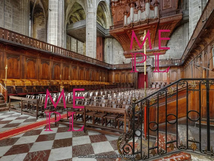 : Nave, Cathedrale Saint-Just-et-Saint-Pasteur, Narbonne : Nave, Cathedrale Saint-Just-et-Saint-Pasteur, Narbonne
