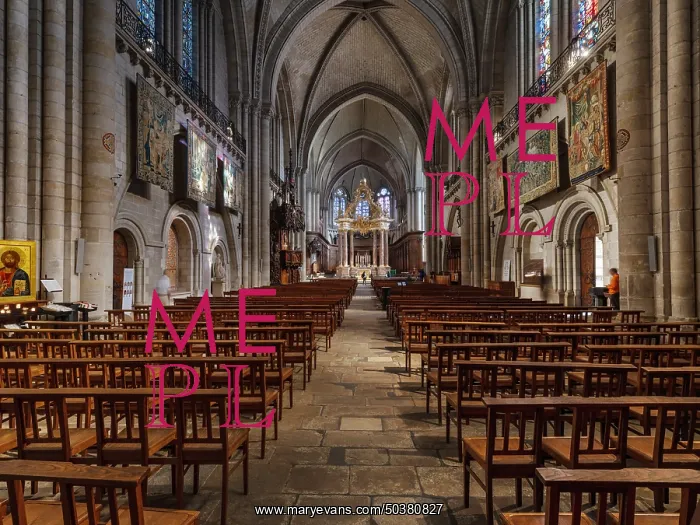 : Nave, Cathedrale Saint-Maurice, Angers, Maine-et-Loire, France : Nave, Cathedrale Saint-Maurice, Angers, Maine-et-Loire, France
