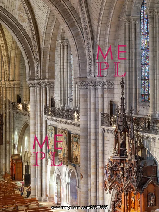 : Nave, Cathedrale Saint-Maurice, Angers, Maine-et-Loire, France : Nave, Cathedrale Saint-Maurice, Angers, Maine-et-Loire, France