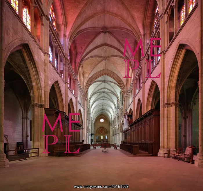 : Nave, Nevers Cathedral, Nevers, Bourgogne-Franche-Comte : Nave, Nevers Cathedral, Nevers, Bourgogne-Franche-Comte