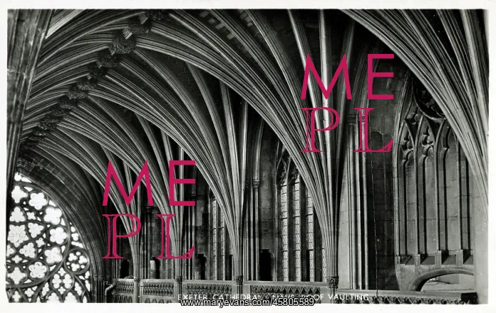 : Nave roof vaulting at Exeter Cathedral, Devon : Nave roof vaulting at Exeter Cathedral, Devon