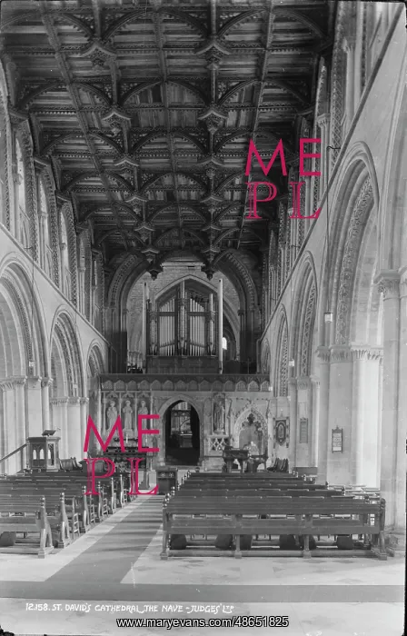 : The Nave of St. David's Cathedral : The Nave of St. David's Cathedral