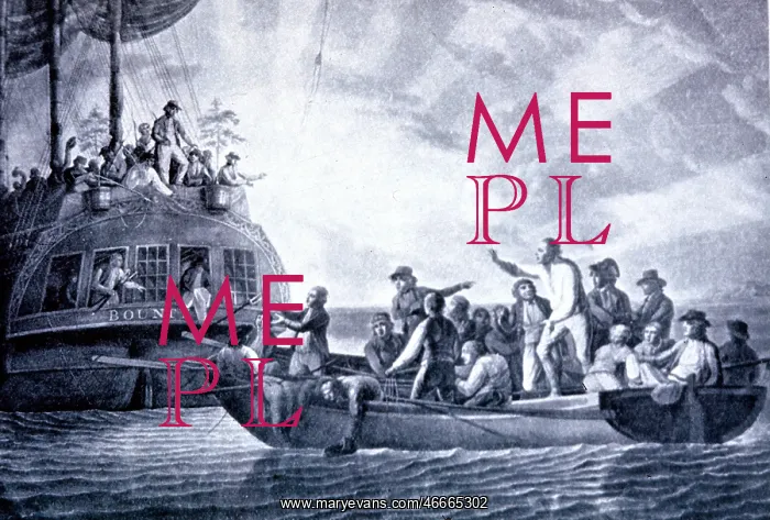 : navigation, Mutiny on the Bounty 1789, the captain : navigation, Mutiny on the Bounty 1789, the captain