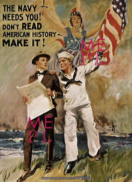 : The Navy Needs You : The Navy Needs You