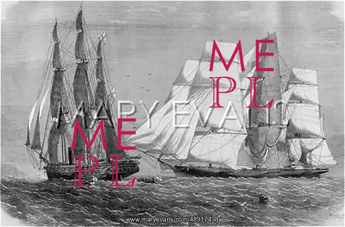: NAVY STOPS SLAVER 1860 : NAVY STOPS SLAVER 1860