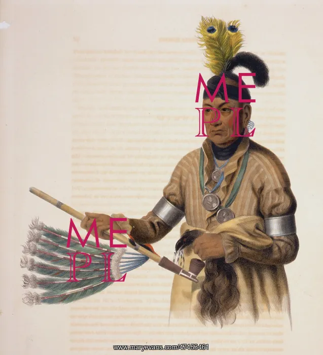 : Naw-kaw, a Winnebago chief : Naw-kaw, a Winnebago chief