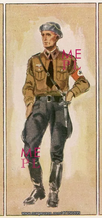 : NAZI AVIATION OFFICER : NAZI AVIATION OFFICER
