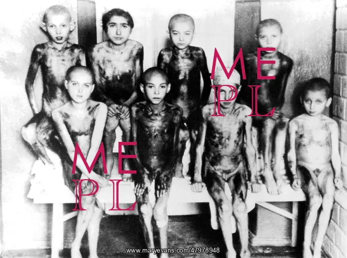: Nazi Medical Experiments : Nazi Medical Experiments