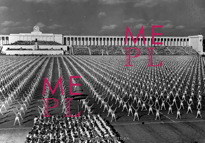 : Nazi Party in 1938 : Nazi Party in 1938