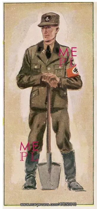 : NAZI WORK DIVISION : NAZI WORK DIVISION