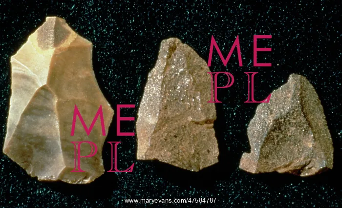 : Neanderthal artifacts : Neanderthal artifacts