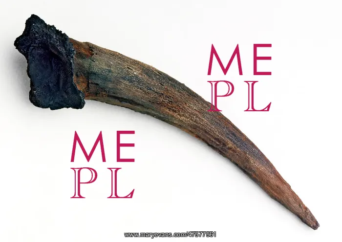 : Neanderthal Man artifact (Tabun) : Neanderthal Man artifact (Tabun)