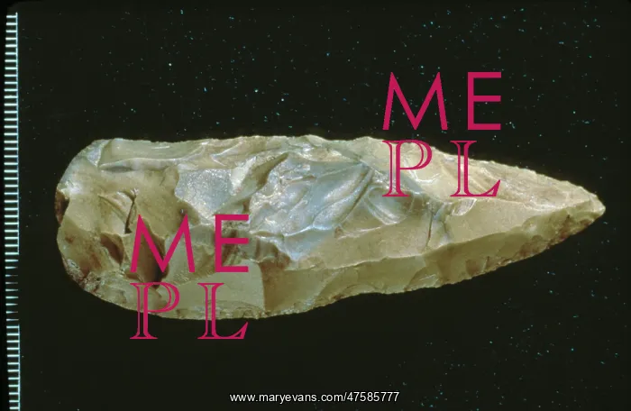 : Neanderthal spear point : Neanderthal spear point