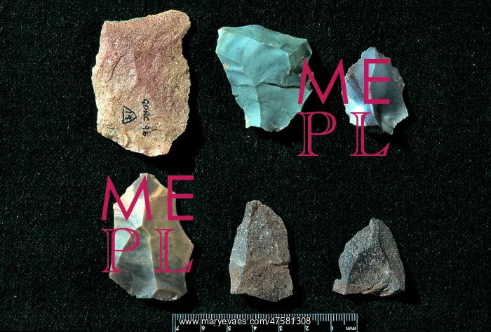 : Neanderthal stone tools : Neanderthal stone tools