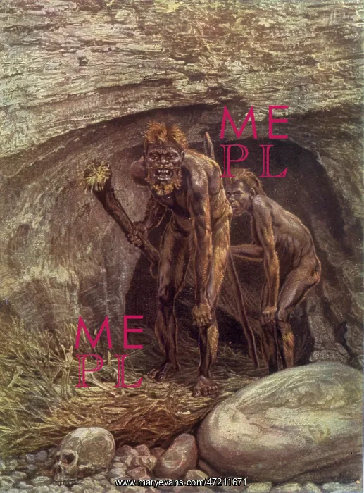 : NEANDERTHALOID / WELLS : NEANDERTHALOID / WELLS