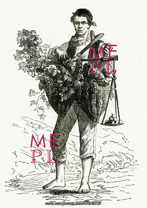 : Neapolitan grape seller 1886 : Neapolitan grape seller 1886