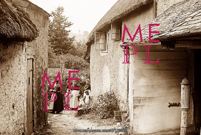  : Near Ashburton, devon