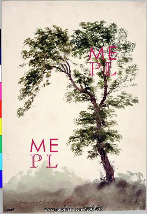 : Near Larkhill Study of a Tree : Near Larkhill Study of a Tree