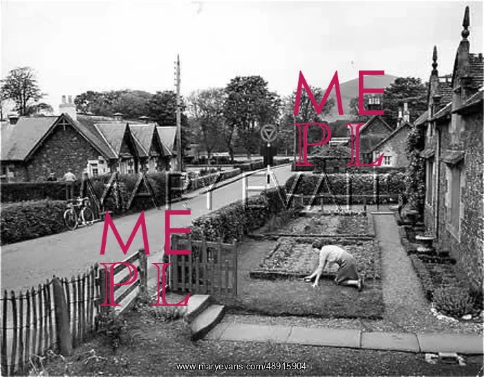 : NEAT SCOTTISH GARDEN : NEAT SCOTTISH GARDEN