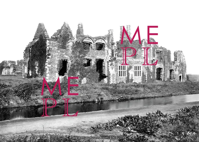  : Neath, the Abbey 1893