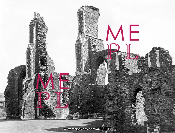: NEATH ABBEY : NEATH ABBEY
