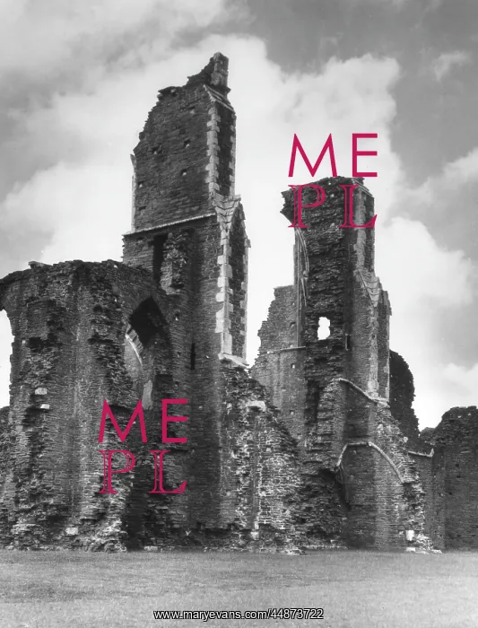 : NEATH ABBEY : NEATH ABBEY