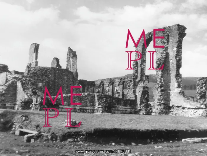 : NEATH ABBEY : NEATH ABBEY