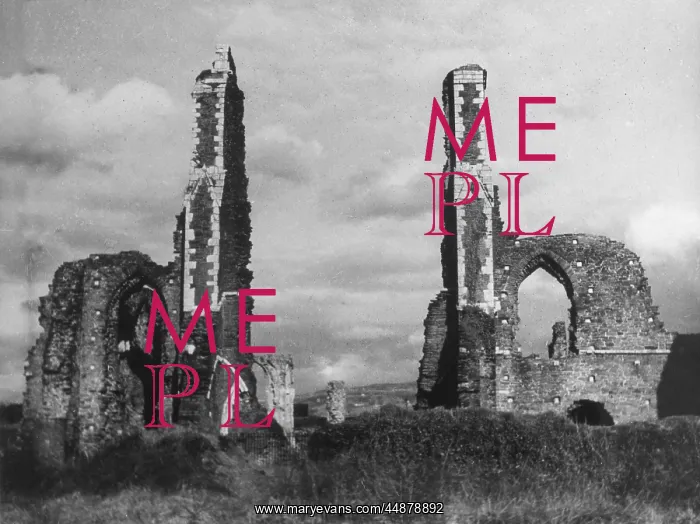: NEATH ABBEY : NEATH ABBEY