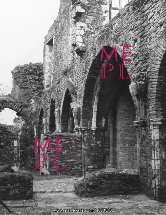: NEATH ABBEY : NEATH ABBEY