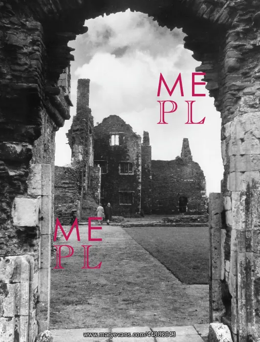 : NEATH ABBEY : NEATH ABBEY