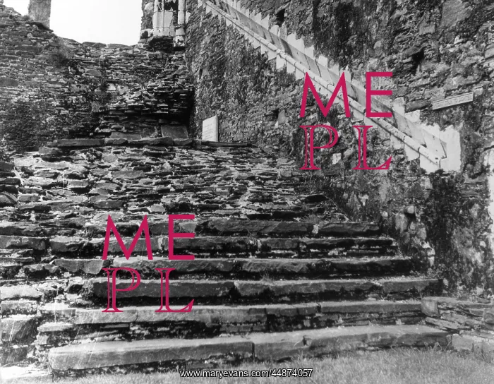 : NEATH ABBEY NIGHT STAIRS : NEATH ABBEY NIGHT STAIRS