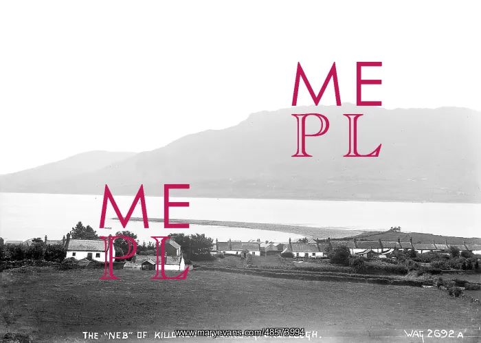 : The Neb of Killowen in Carlingford Lough : The Neb of Killowen in Carlingford Lough