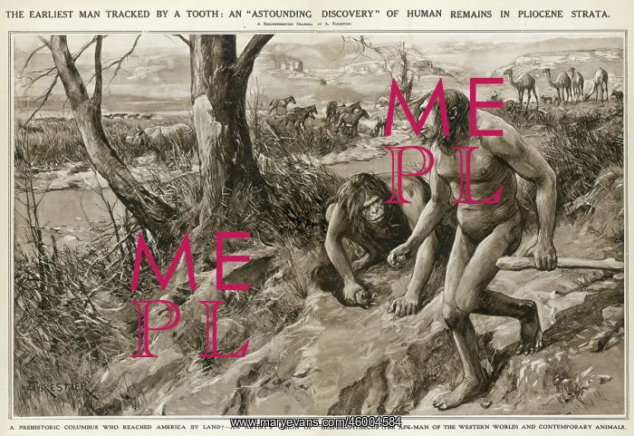 : Nebraska Man by Amedee Forestier : Nebraska Man by Amedee Forestier