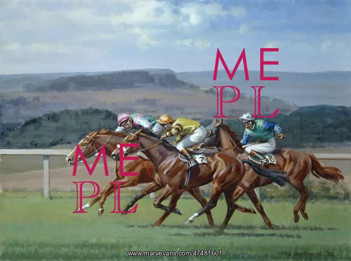 : Neck and Neck ' horse racing : Neck and Neck ' horse racing
