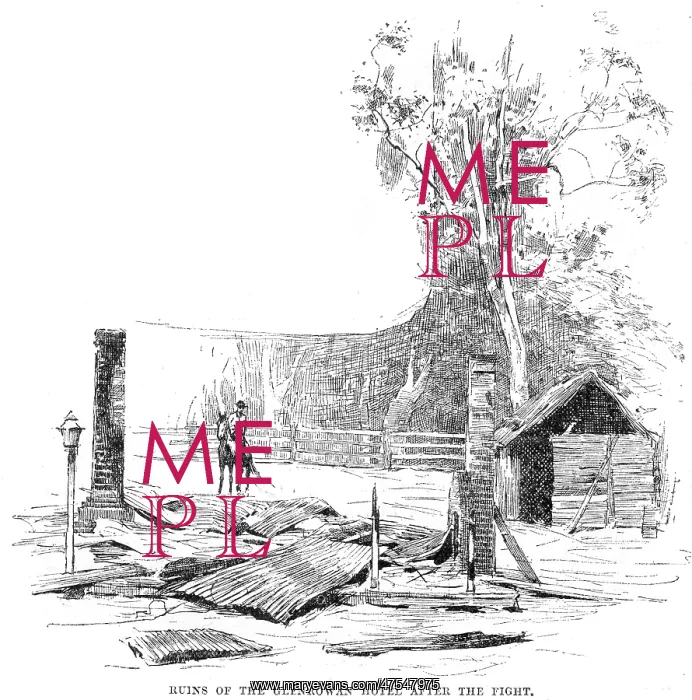 : Ned Kelly- The Glenrowan Inn : Ned Kelly- The Glenrowan Inn