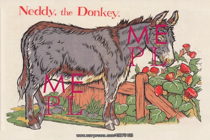 : Neddy the Donkey : Neddy the Donkey