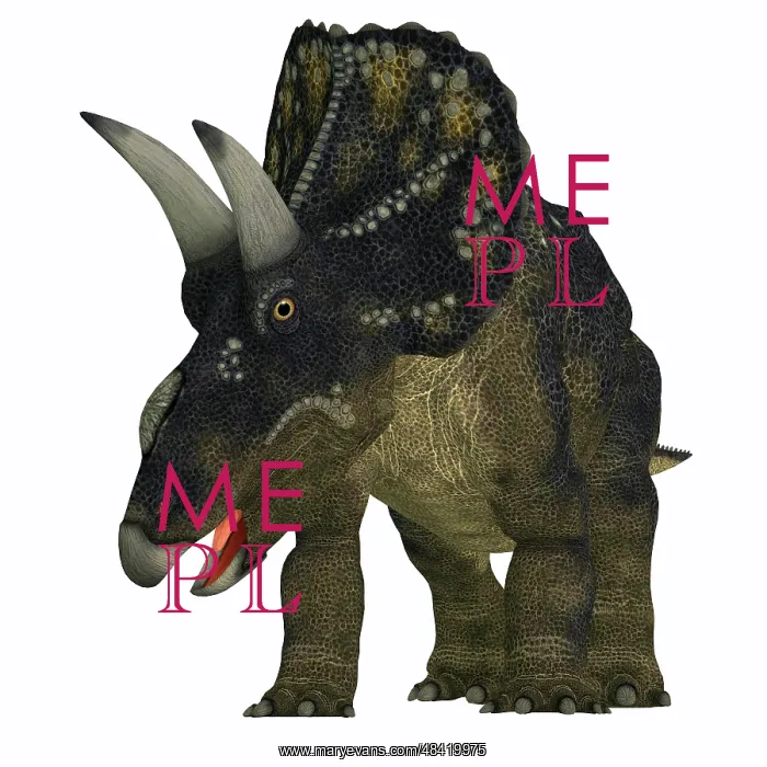 : Nedoceratops dinosaur, front view : Nedoceratops dinosaur, front view