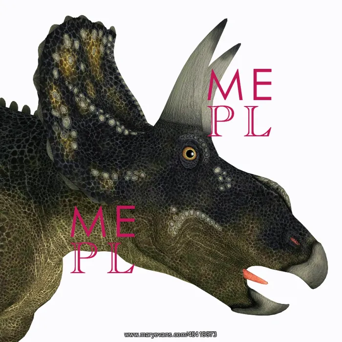 : Nedoceratops portrait : Nedoceratops portrait